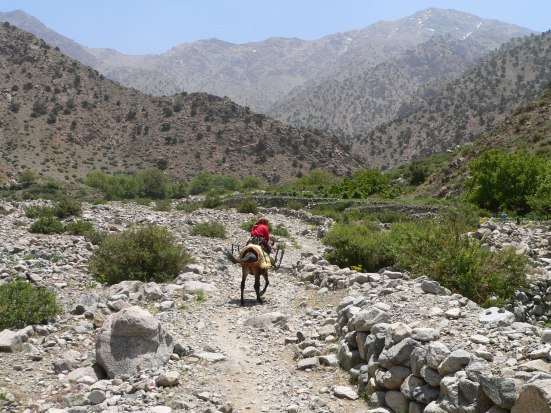 Aazab Aventure, trek au Maroc