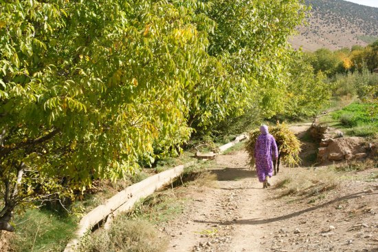 Le Maroc en famille - trek itinérant de gite en gite au coeur de la vallée des Ait Bougmez