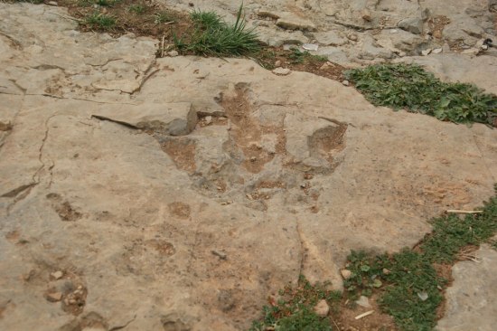 En randonnée au Maroc, découverte des traces des dinosaures dans la vallée des Ait Bougmez