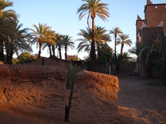 Randonnée le long de l'oued Draa au Maroc